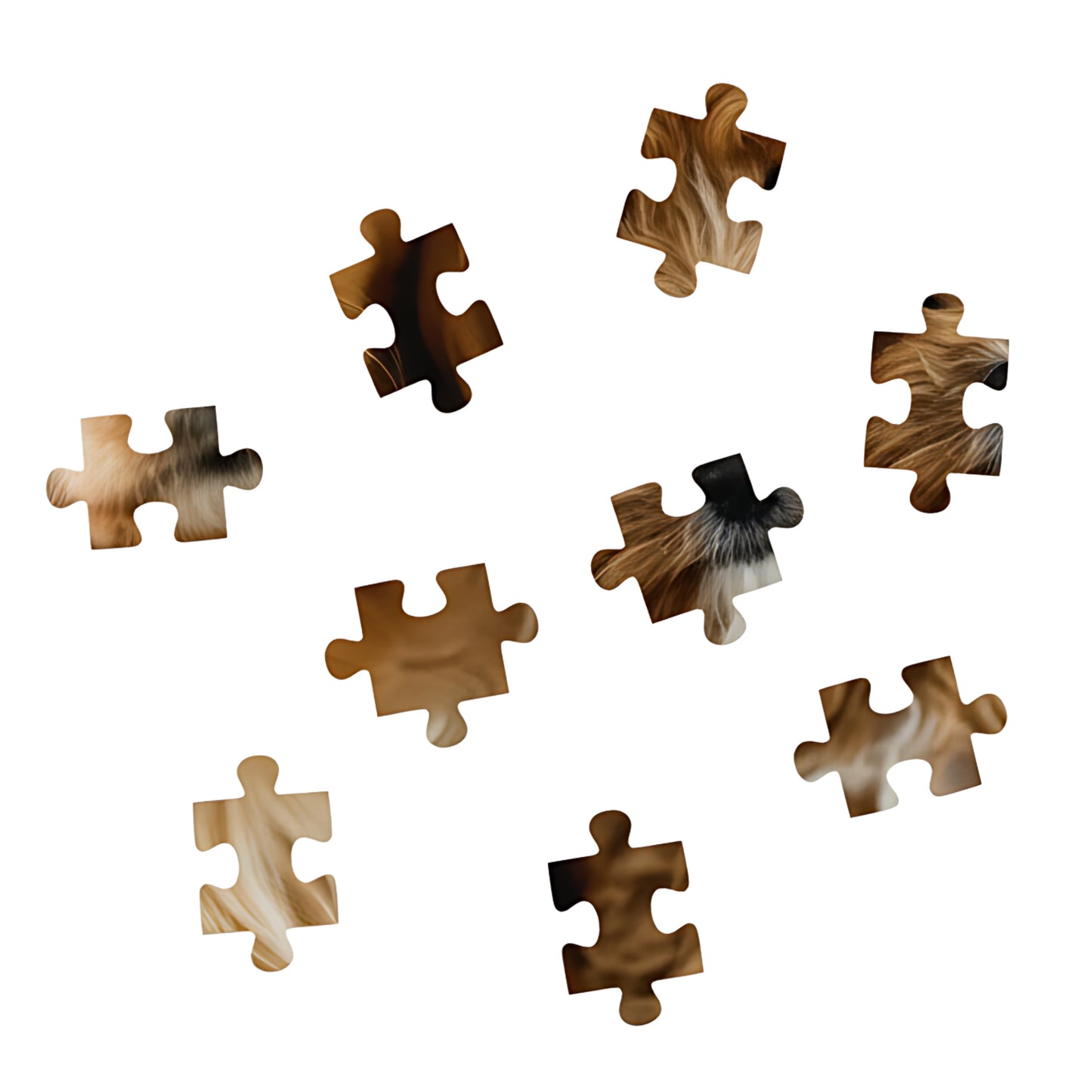 Scattered magnetic jigsaw puzzle pieces showing dog fur detail from personalised pet photo puzzle, 126 pieces, Puzzles Me AU