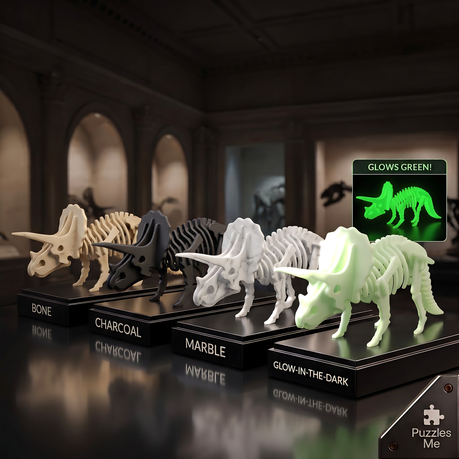 Triceratops 3D flat pack puzzle kit, colour options display, bone charcoal marble and glow in the dark