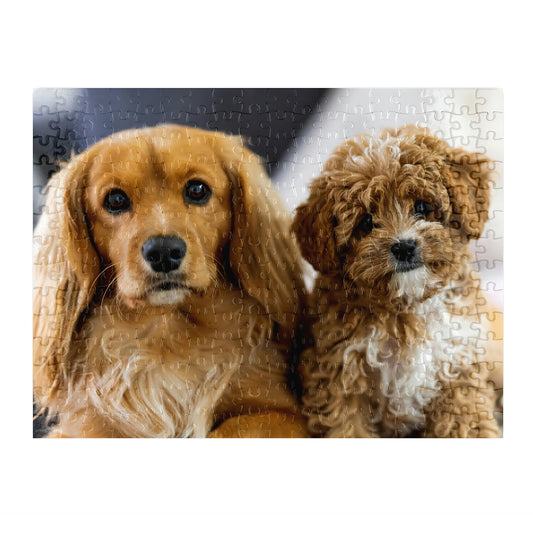 Personalised magnetic jigsaw puzzle showing Cavalier and Cavoodle dogs, 126 pieces, Puzzles Me AU