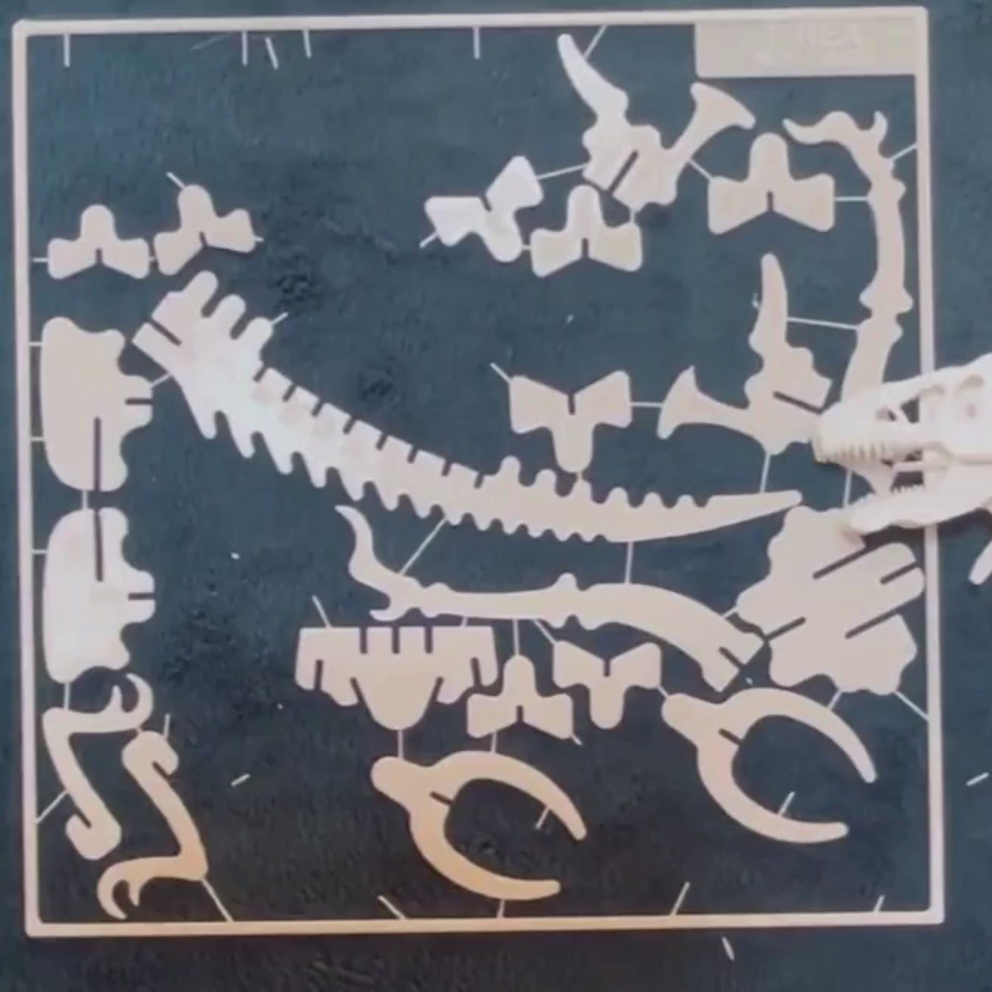 tutorial on how to connect pieces for this 3d t-rex puzzle model